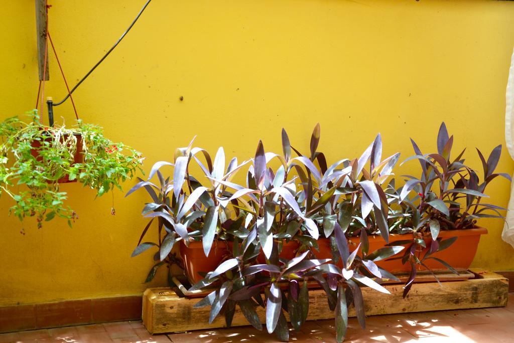 Restyling Acomodação com café da manhã  *